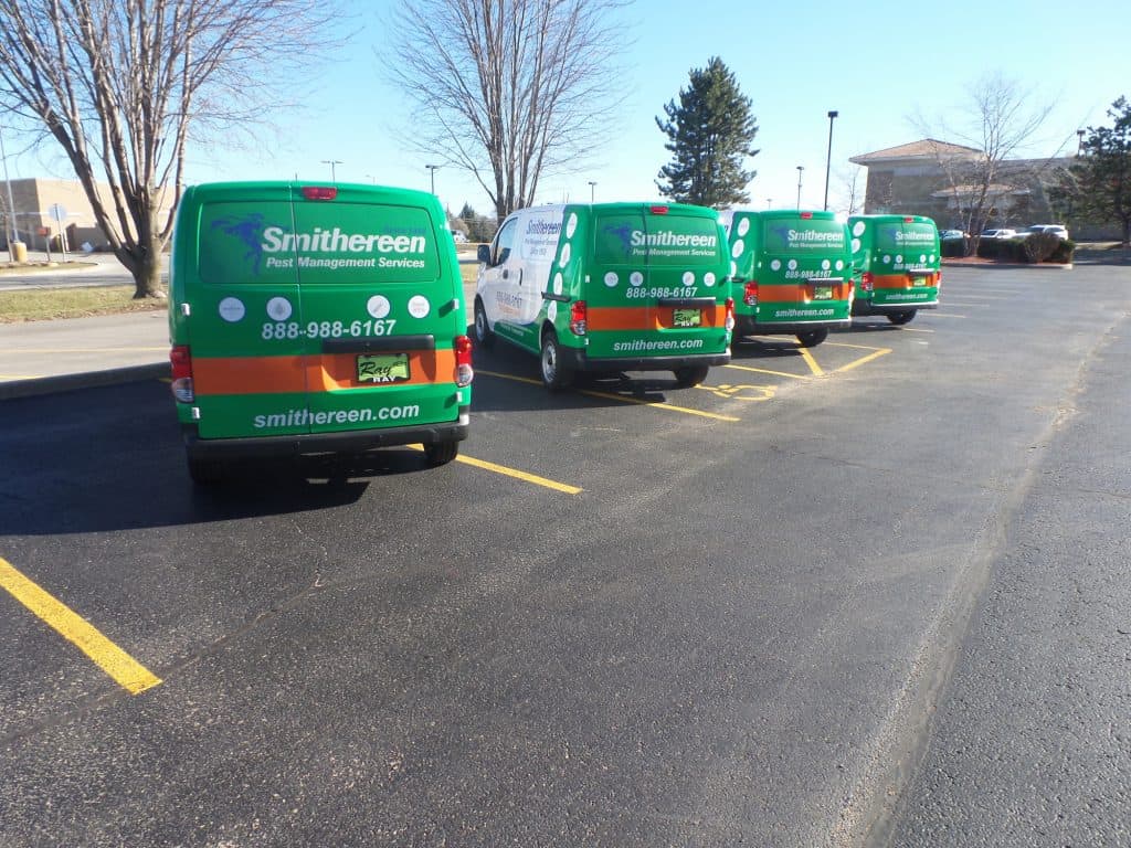 Four green Smithereen Pest Management Services vans with custom vehicle wraps Spring Grove are parked in a row on a sunny day. The vans display the company name, logo, website, and phone number, with leafless trees visible in the background.